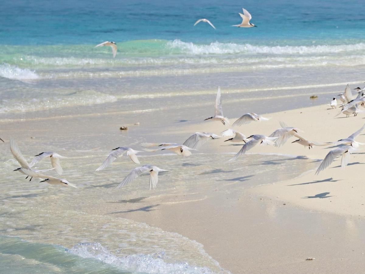 Kiha Beach Dharavandhoo Buitenkant foto